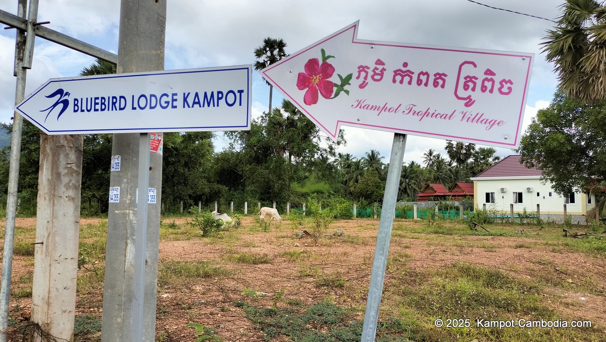 kampot tropical village in cambodia