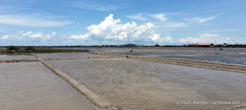 khleang ambel coffee in kampot cambodia