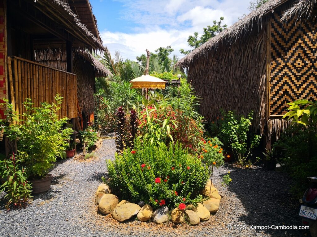 village life kampot cambodia. traditional bungalows.