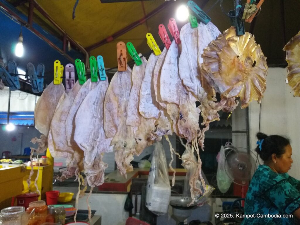 kampot night market in cambodia