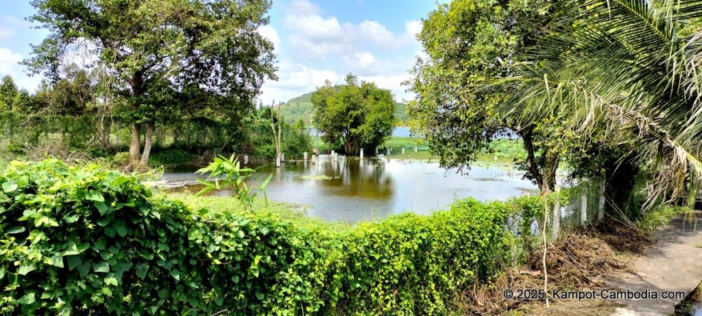 Champs dámour hotel and restaurant on secret lake. kampot, cambodia