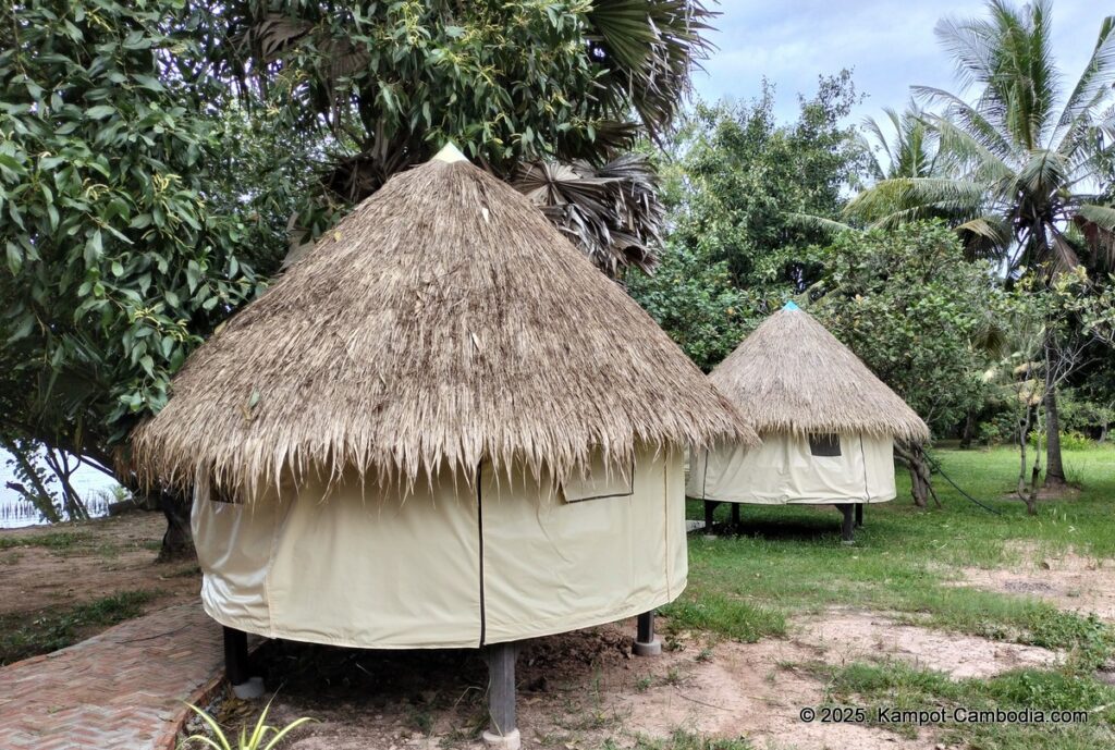 les manguiers kampot cambodia