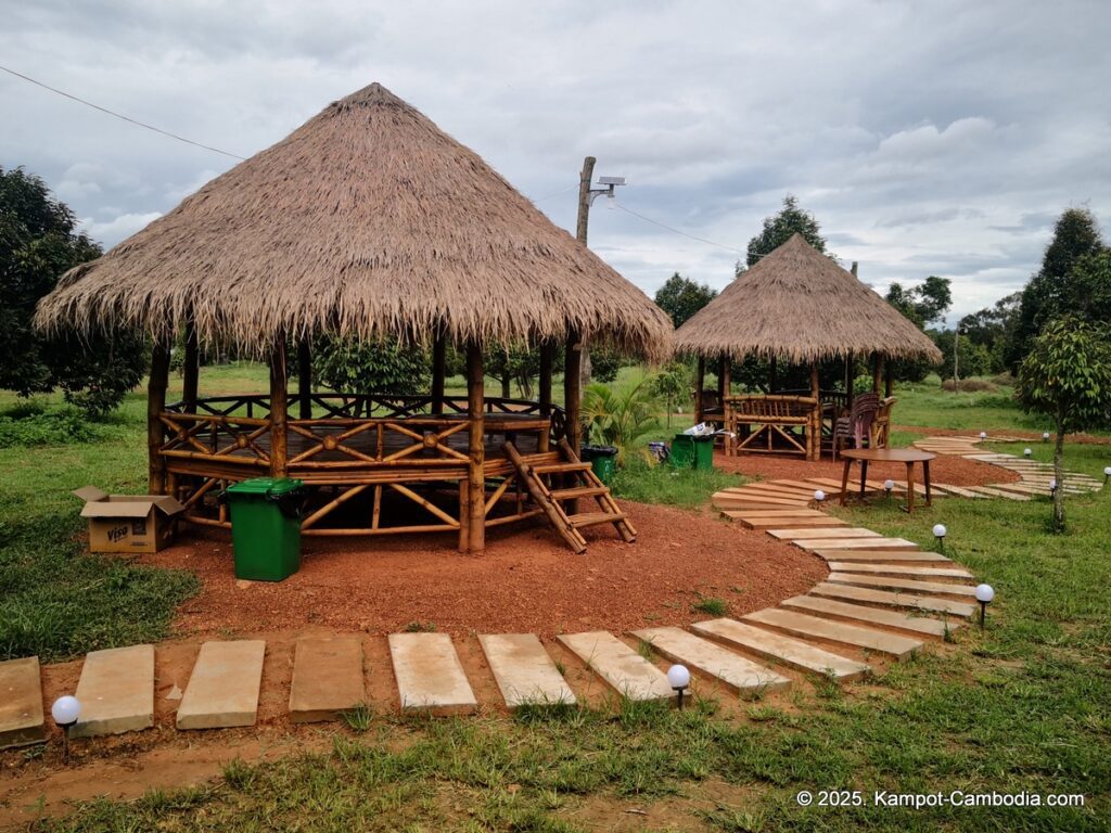 durian flower villa in kampot cambodia