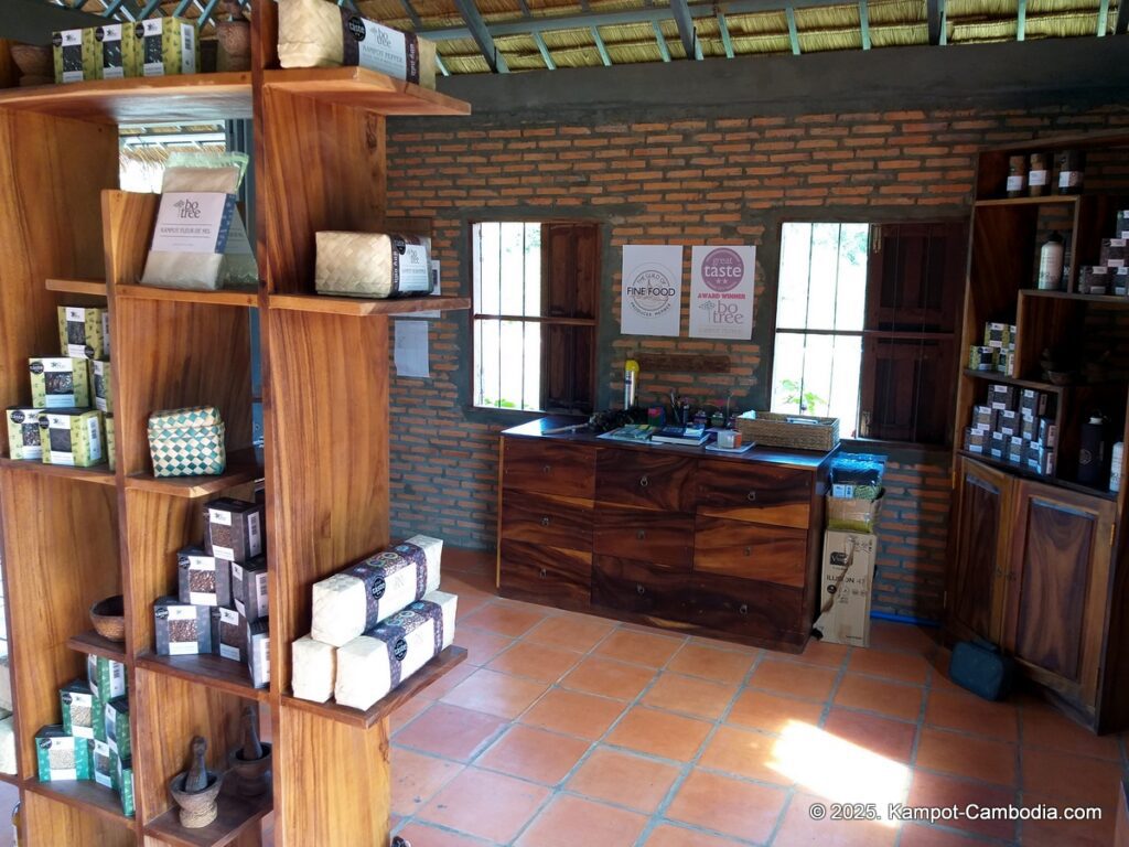 bo tree pepper farm in kampot cambodia