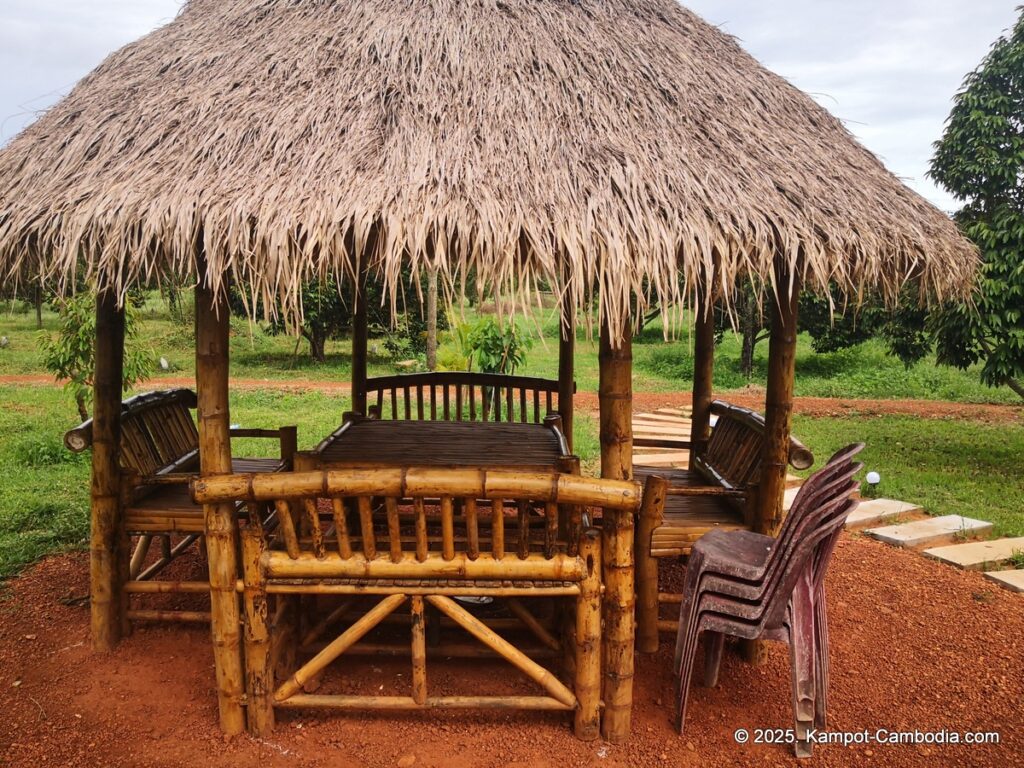 durian flower villa in kampot cambodia