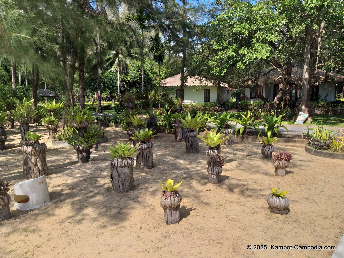 Nataya Resort in kampot cambodia