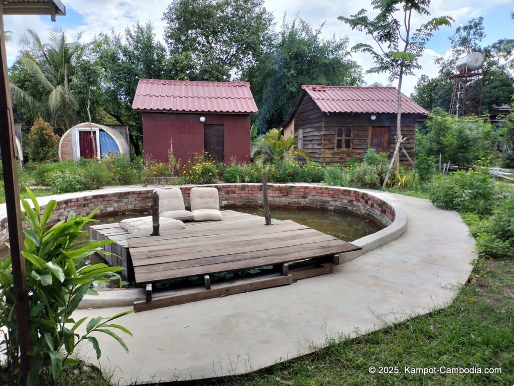 the bear bungalow in kampot cambodia