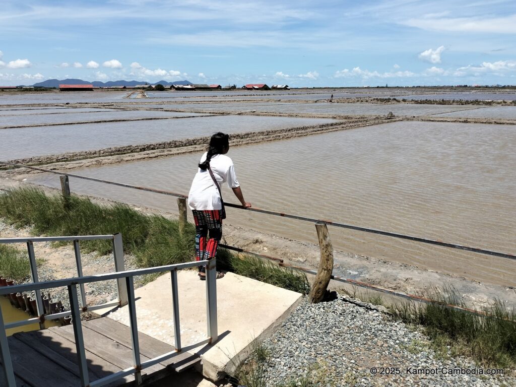 khleang ambel coffee in kampot cambodia