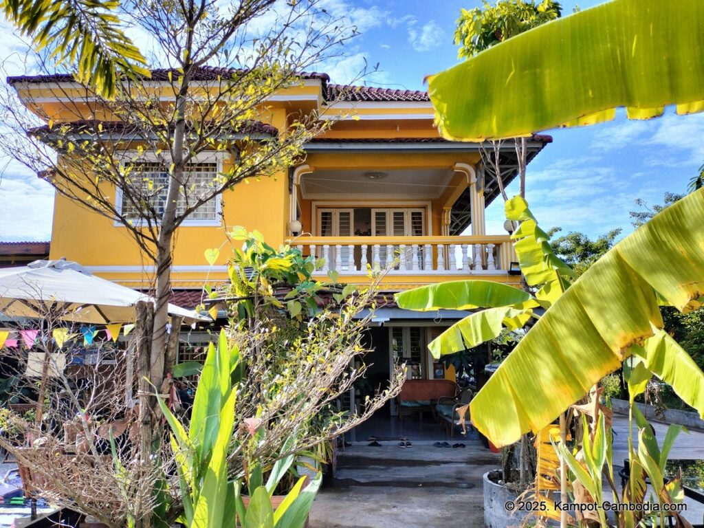 yellow star hostel in kampot cambodia