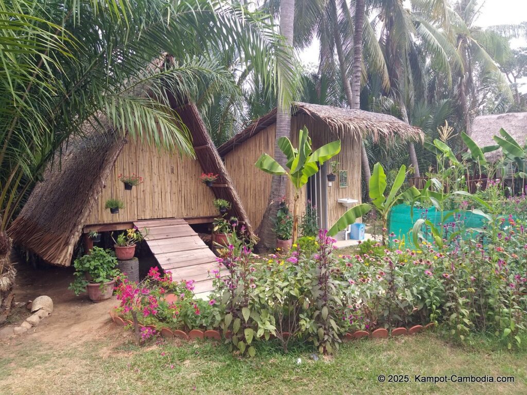 nary garden bungalow in kampot cambodia