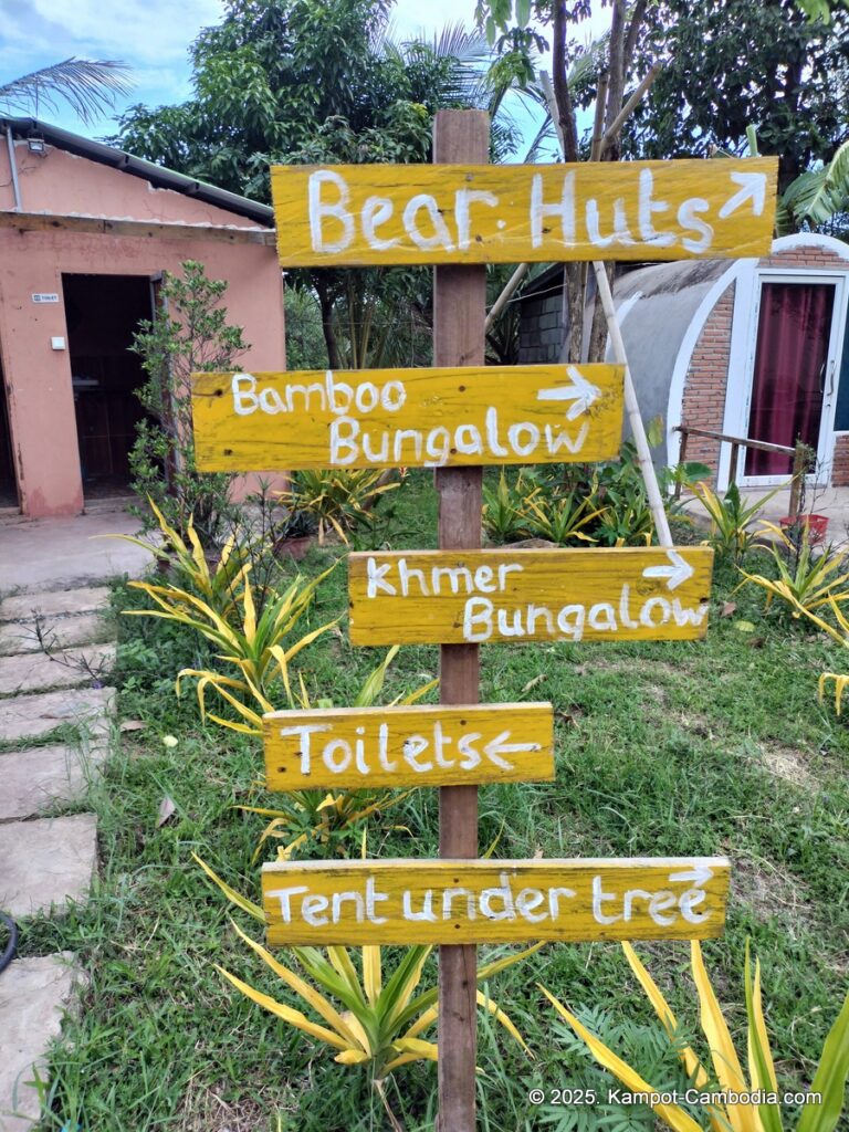 the bear bungalow in kampot cambodia