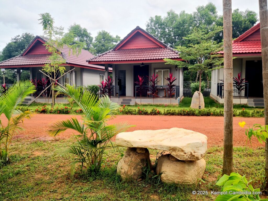 durian flower villa in kampot cambodia