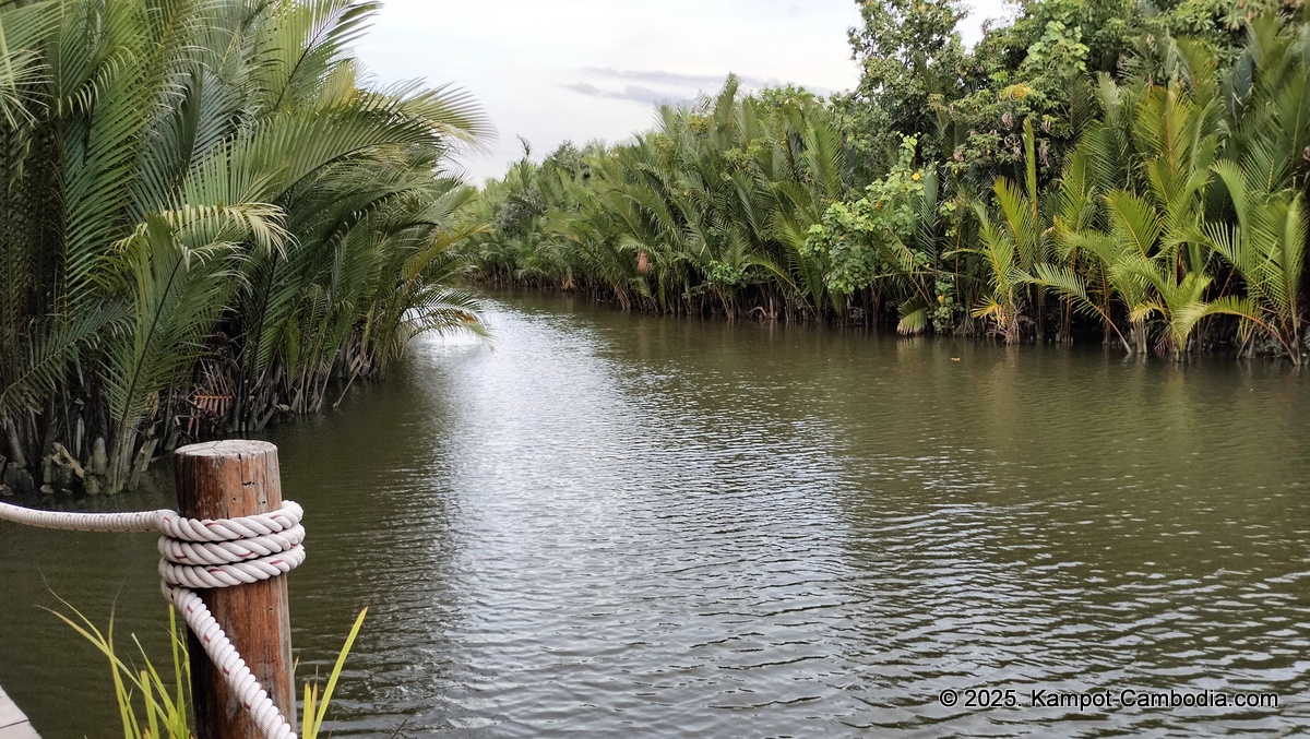 rivertree villa and resort in kampot cambodia