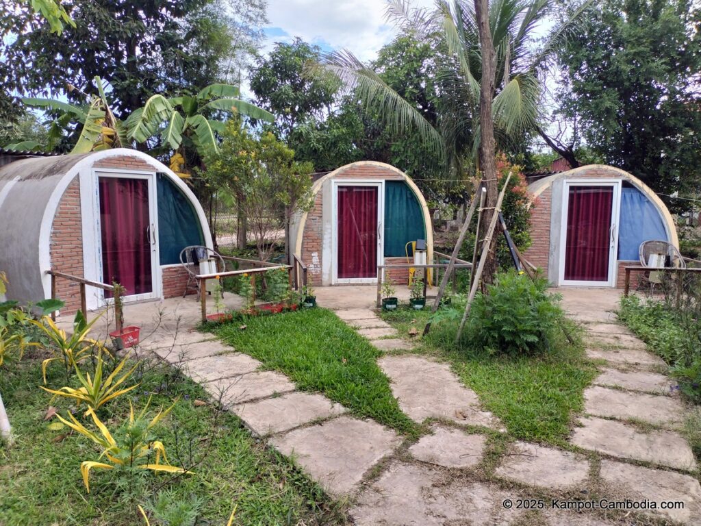 the bear bungalow in kampot cambodia