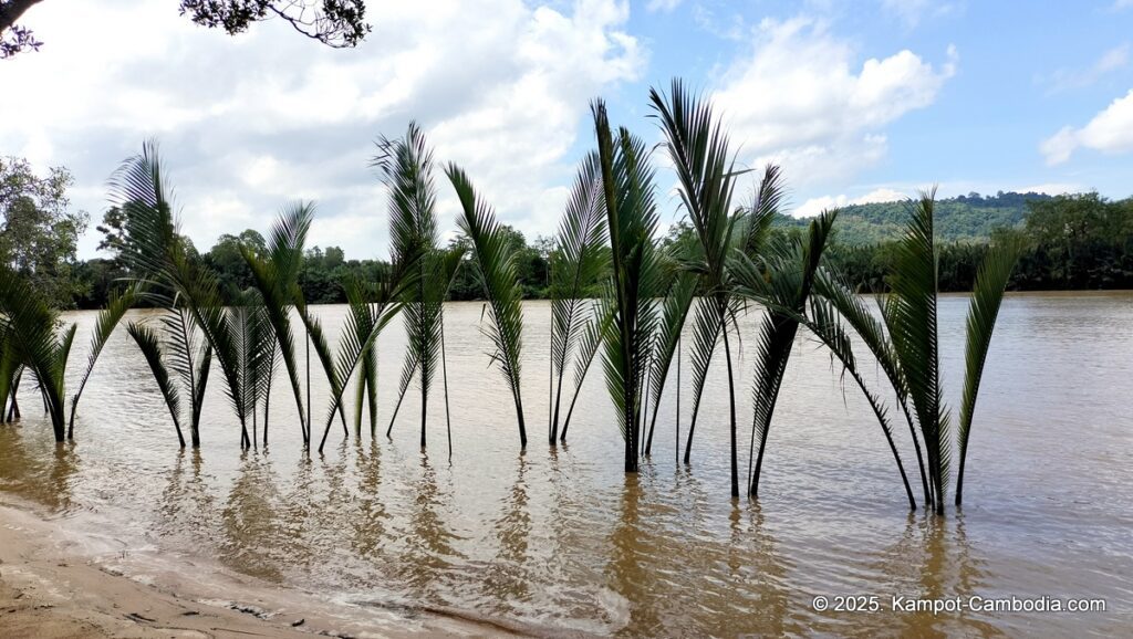 kampot madam sweet in cambodia