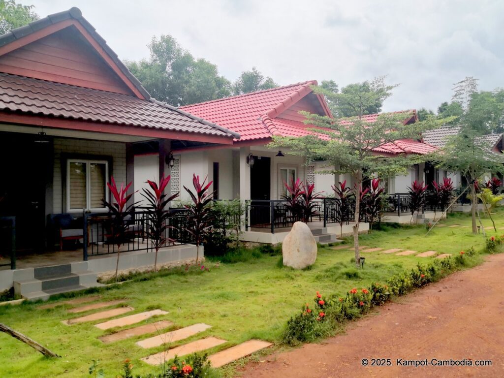 durian flower villa in kampot cambodia