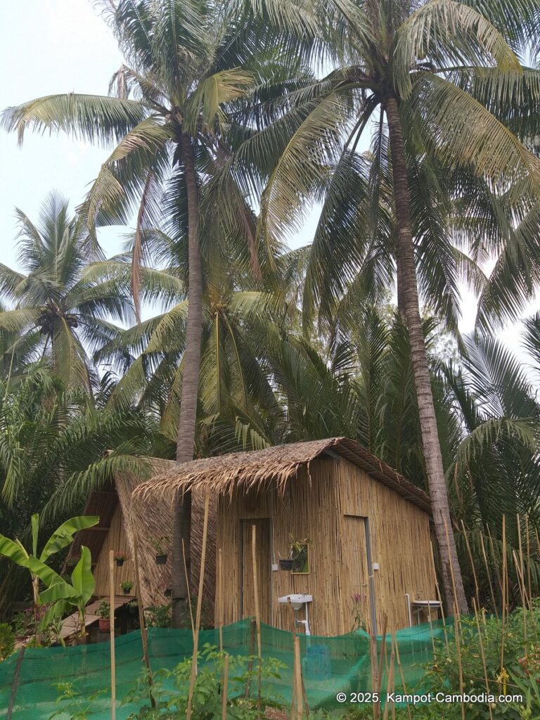 nary garden bungalow in kampot cambodia