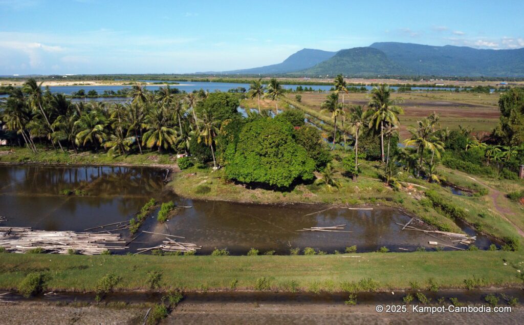 Kampheak Roath Treuy Koh Bungalows in kampot cambodia fish island