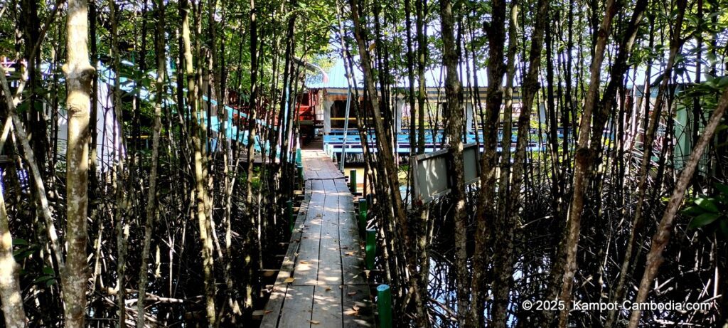 Trapeang Sangkae mangrove in kampot cambodia. boats and rooms.