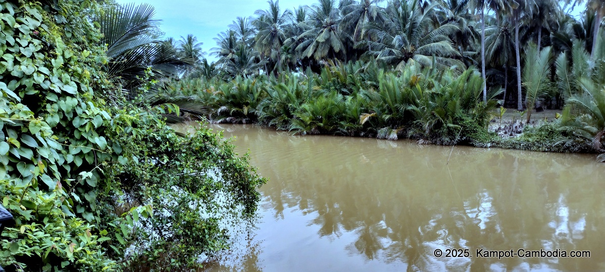 kampot tropical village in cambodia