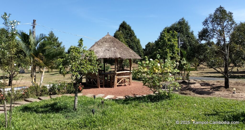 durian flower villa in kampot cambodia