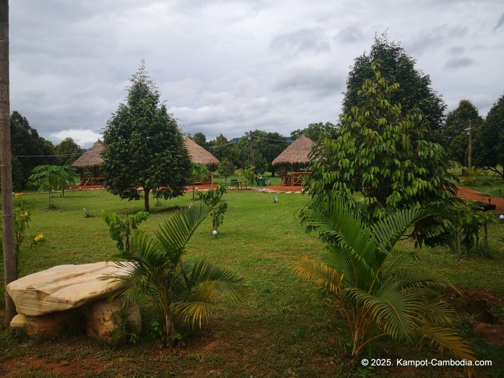 durian flower villa in kampot cambodia