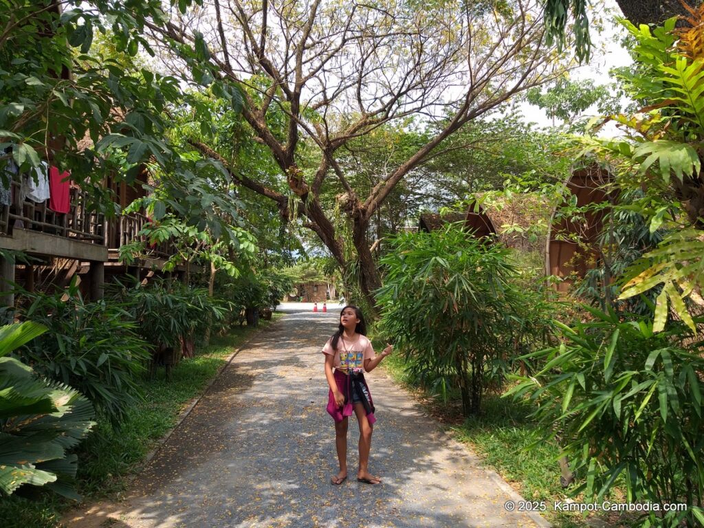 bamboo bungalows in kampot cambodia