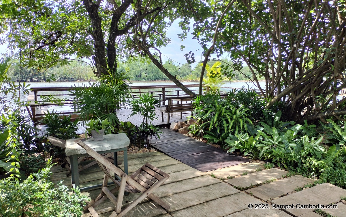 mlis kampot river in cambodia