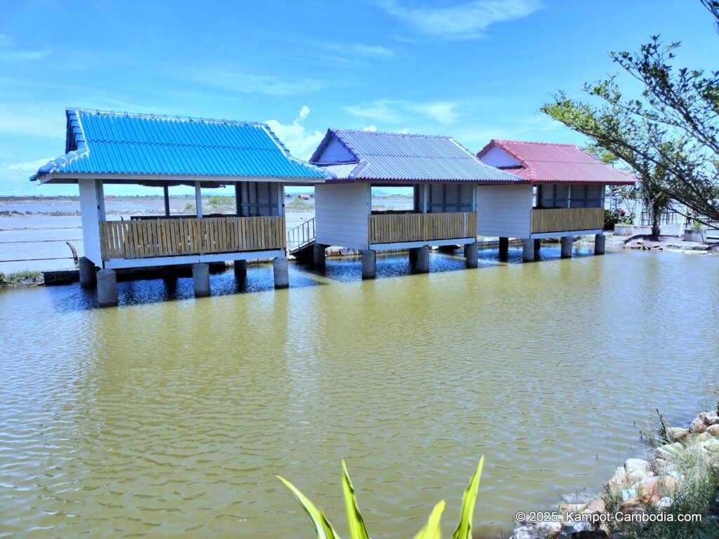 khleang ambel coffee in kampot cambodia