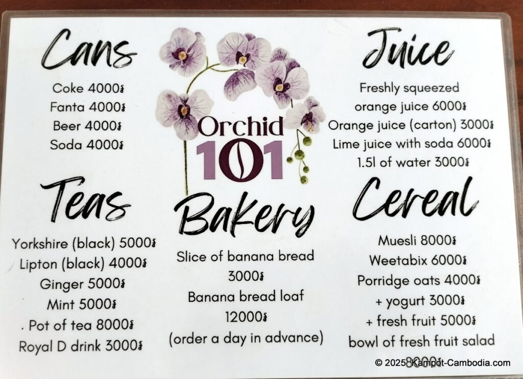 orchid 101 guesthouse in kampot cambodia