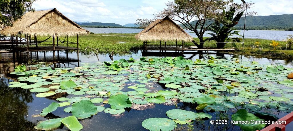 Champs dámour hotel and restaurant on secret lake. kampot, cambodia