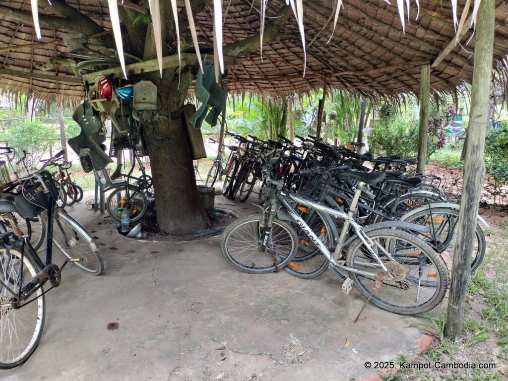 les manguiers kampot cambodia