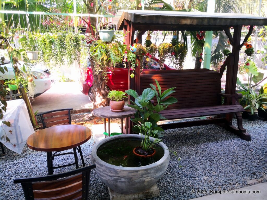 the cacti and planti coffee shop and nursery in kampot cambodia