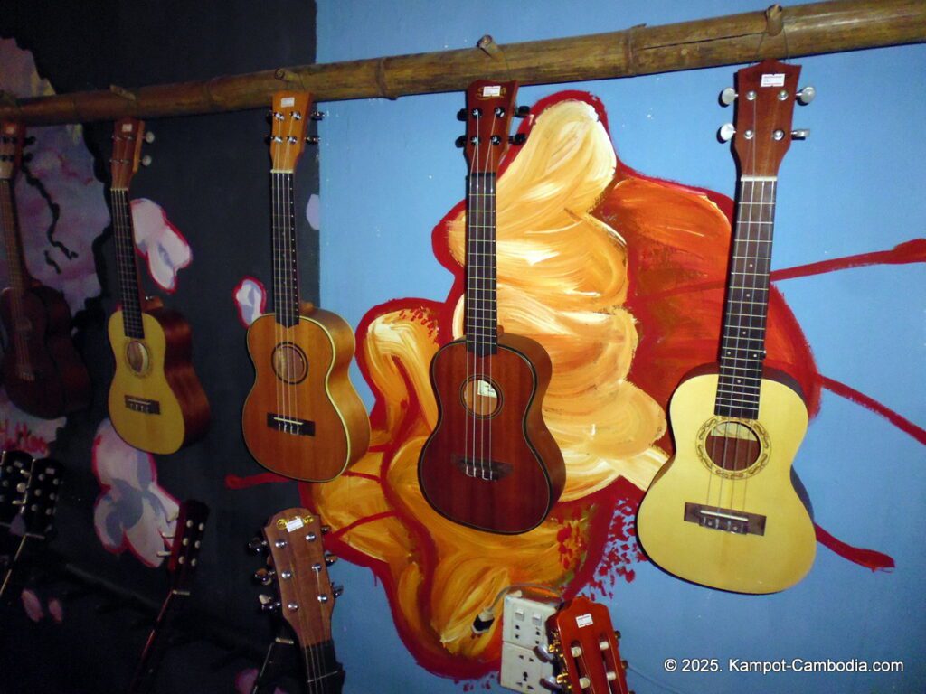 no strings attached musical instrument store in kampot