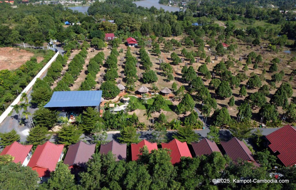 durian flower villa in kampot cambodia