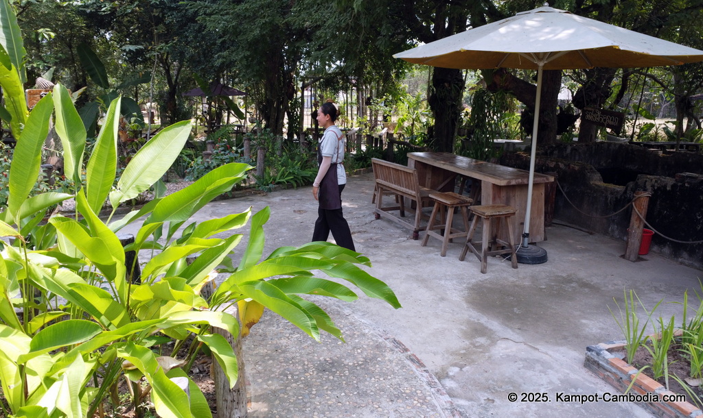 phum chas cafe restaurant in kampot cambodia