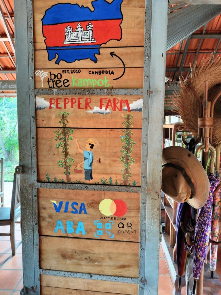 bo tree pepper farm in kampot cambodia