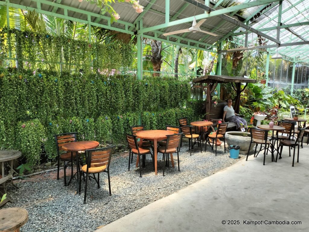 the cacti and planti coffee shop and nursery in kampot cambodia