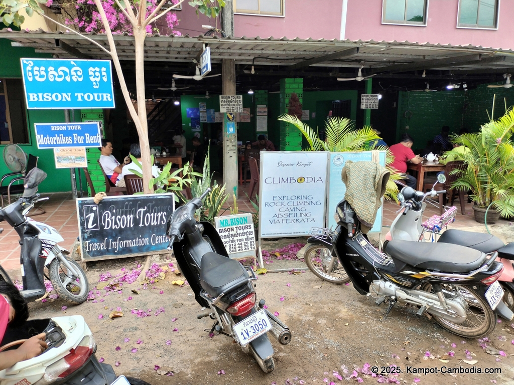 bison tours and motorcycle rental in kampot cambodia