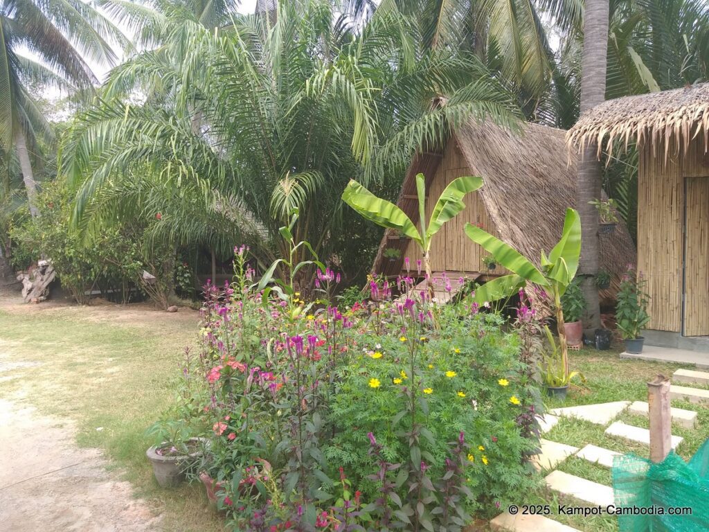 nary garden bungalow in kampot cambodia