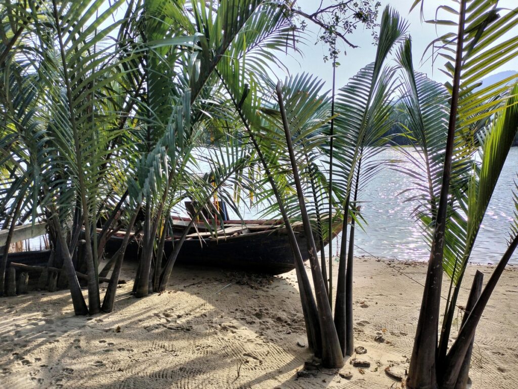 kampot madam sweet in cambodia