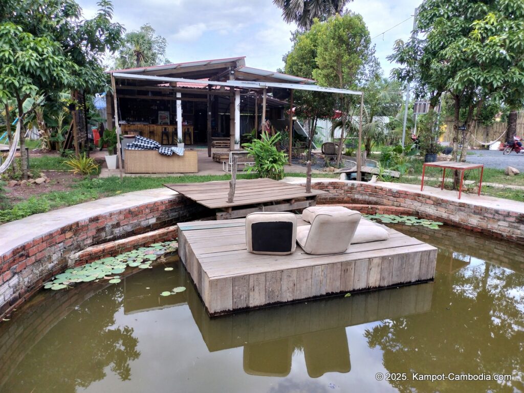 the bear bungalow in kampot cambodia