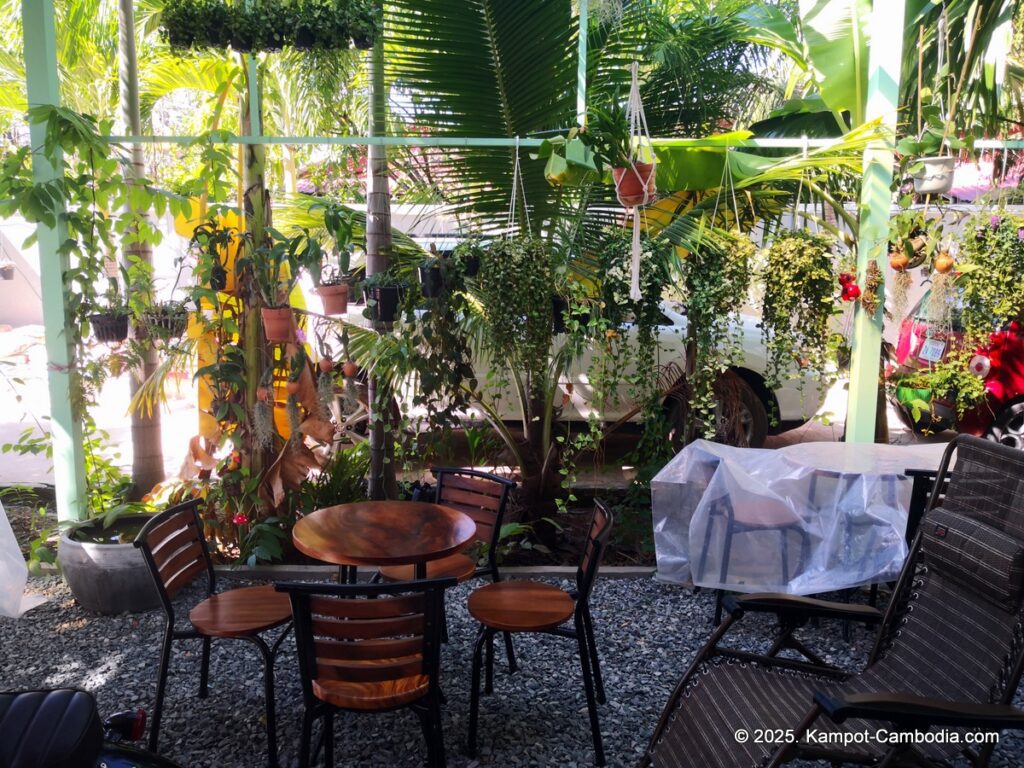 the cacti and planti coffee shop and nursery in kampot cambodia