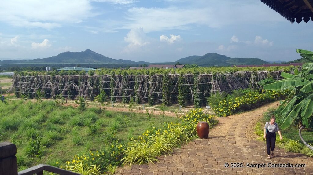 La Plantation Kampot Pepper farm in kampot cambodia