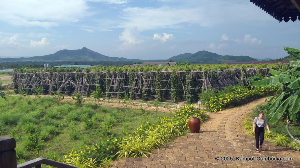 La Plantation Kampot Pepper farm in kampot cambodia