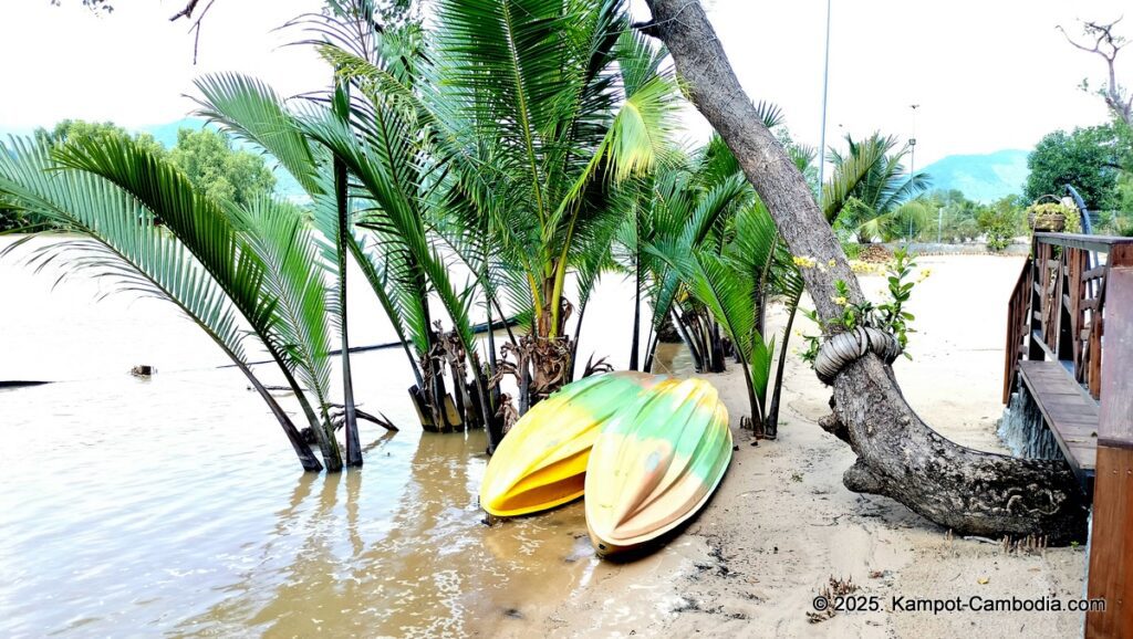 kampot madam sweet in cambodia