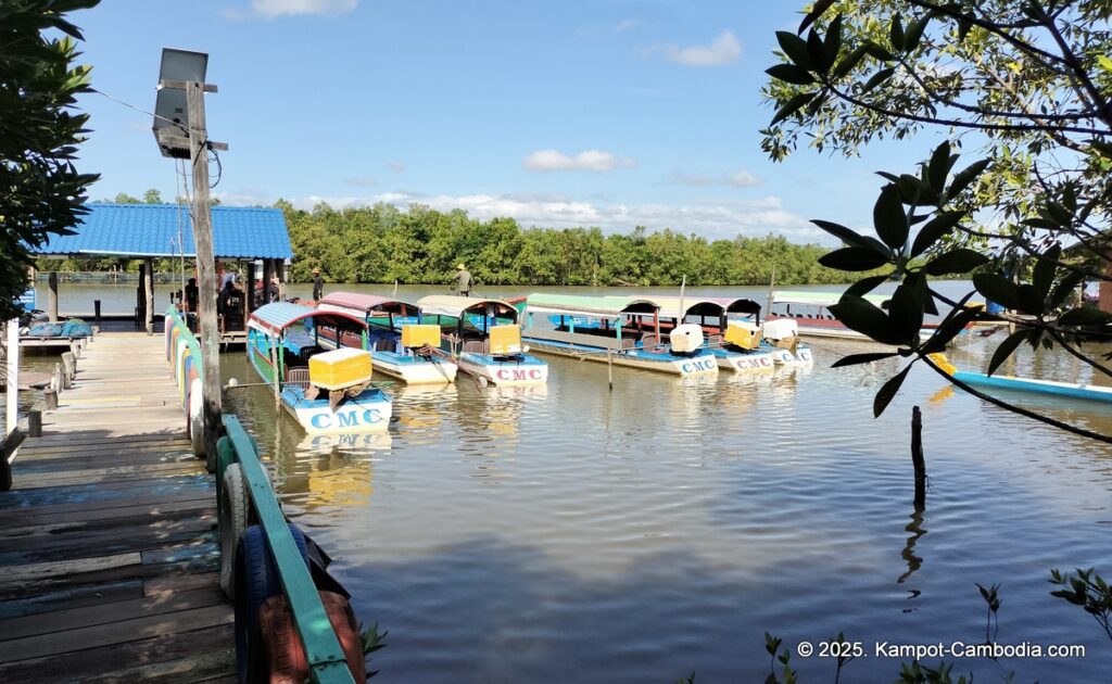 Trapeang Sangkae mangrove in kampot cambodia. boats and rooms.