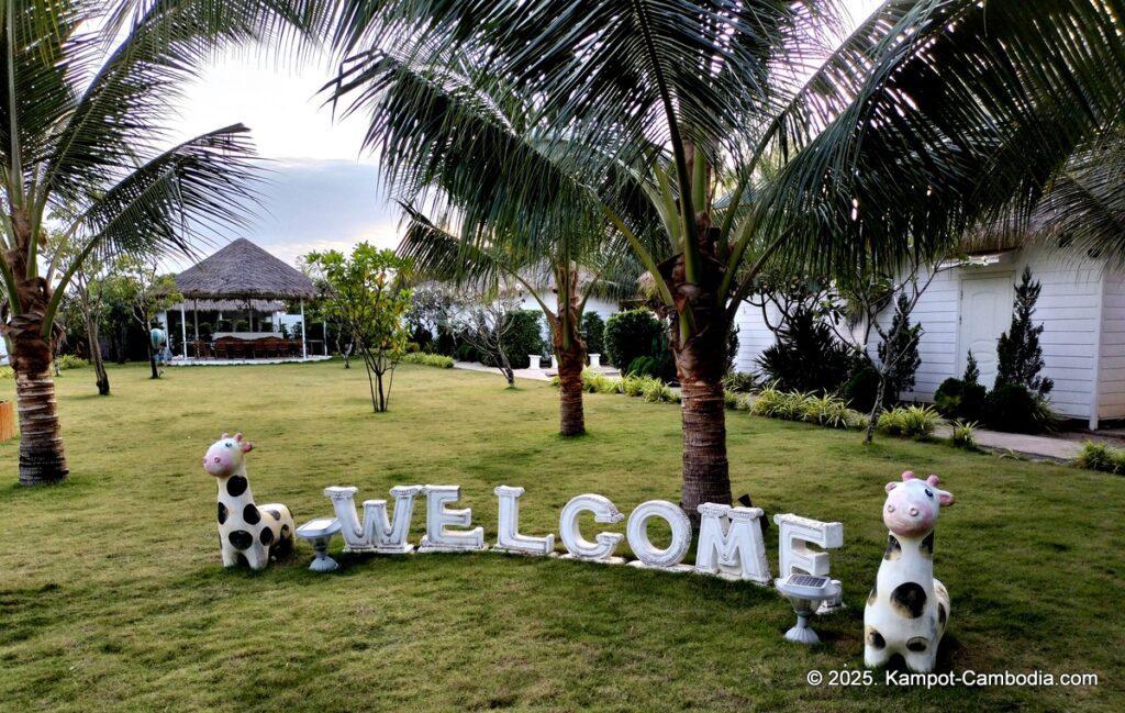 Damboung bungalows fish island kampot cambodia