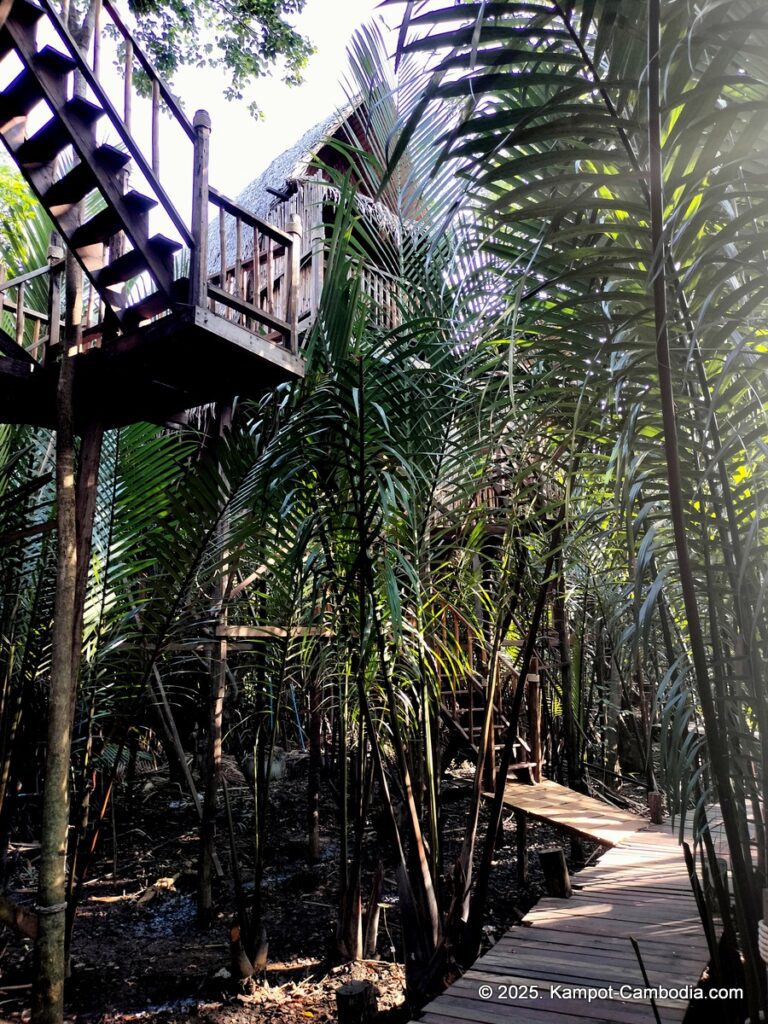 sloek chak bungalows in kampot cambodia