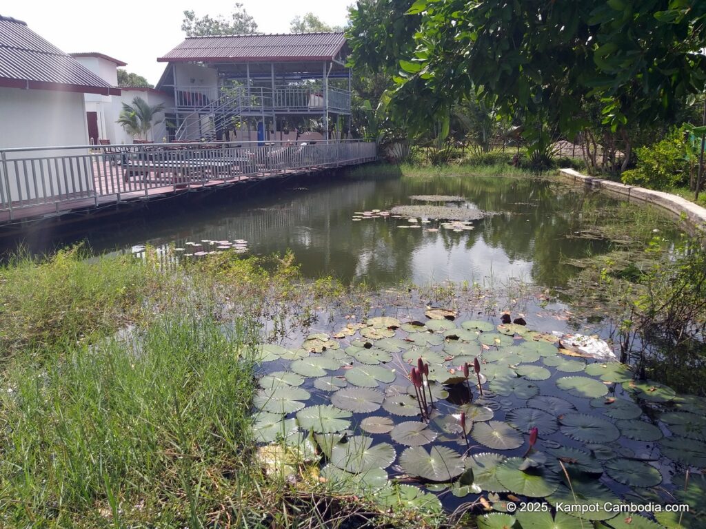 bohemaiz in kampot cambodia